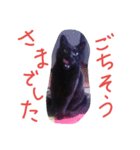 マキにゃん（個別スタンプ：5）