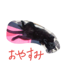 マキにゃん（個別スタンプ：6）