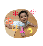 はるくんスタンプ3（個別スタンプ：5）
