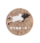 ミクモンスタンプ2（個別スタンプ：15）