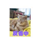 日本短足KY組合組合長（個別スタンプ：23）