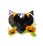 黒猫 ハロウィン（個別スタンプ：3）