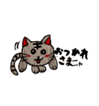 まるねこちゃんたち❤（個別スタンプ：3）
