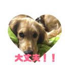 Lunaっちだよ〜。（個別スタンプ：1）