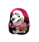 Lunaっちだよ〜。（個別スタンプ：9）