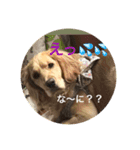 Lunaっちだよ〜。（個別スタンプ：12）