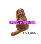 Lunaっちだよ〜。3（個別スタンプ：4）