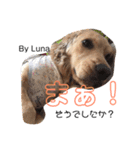 Lunaっちだよ〜。3（個別スタンプ：16）