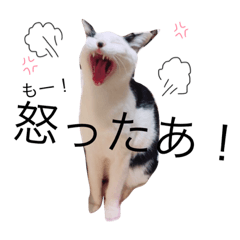 [LINEスタンプ] うらんぷ2