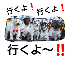 [LINEスタンプ] ジジババビビニコルウの第4弾