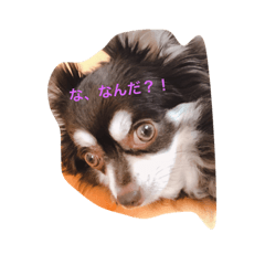 [LINEスタンプ] チョコちん
