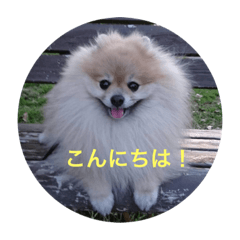 [LINEスタンプ] ノア スタンプ