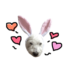 [LINEスタンプ] ベリーなんさな