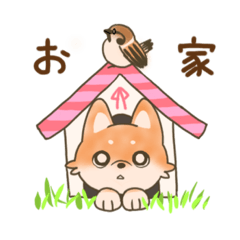 [LINEスタンプ] 柴犬ちゃんの日常図鑑2