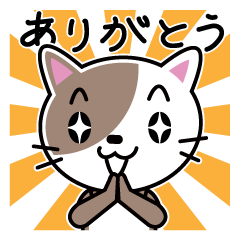 [LINEスタンプ] ソランちゃん！はじめまして！の画像（メイン）