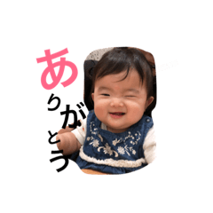 [LINEスタンプ] ここのちゃん