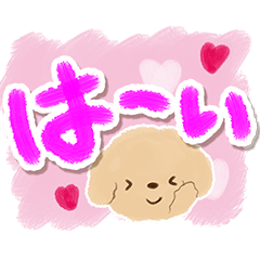 [LINEスタンプ] トイプードル アプリコット（水彩画）