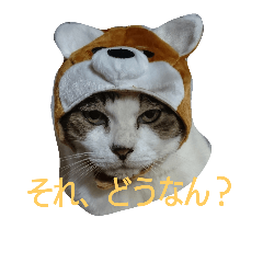 [LINEスタンプ] もも＆ちび