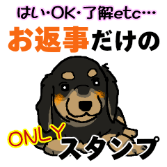 [LINEスタンプ] お返事色々☆犬のスタンプの画像（メイン）
