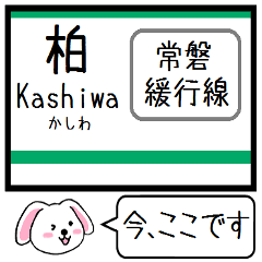 [LINEスタンプ] 常磐緩行線(綾瀬-取手) 今この駅だよ！