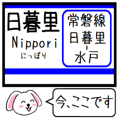 [LINEスタンプ] 常磐線(日暮里-水戸)今この駅だよ タレミー