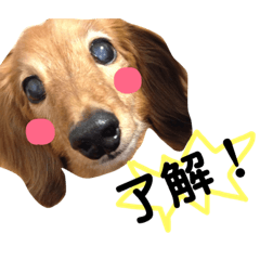 [LINEスタンプ] まーくんスタンプU・x・U