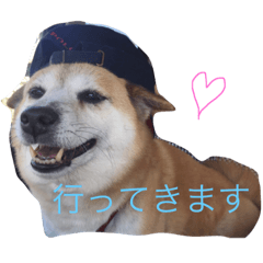 [LINEスタンプ] 我が家のアイドルここちゃん♡