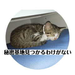 [LINEスタンプ] ドラの家族