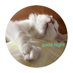 [LINEスタンプ] まーさんの生活