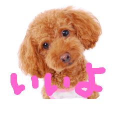 [LINEスタンプ] わが家の愛犬スタンプ2の画像（メイン）
