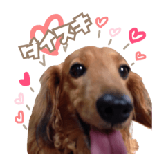 [LINEスタンプ] ちょっぴスタンプ