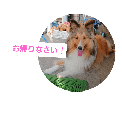 [LINEスタンプ] 僕はスポック 2nd