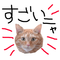 [LINEスタンプ] ムギムギライフ2