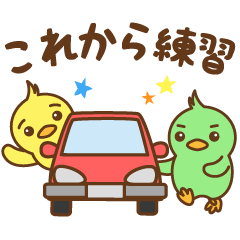 [LINEスタンプ] 免括中の鳥さん