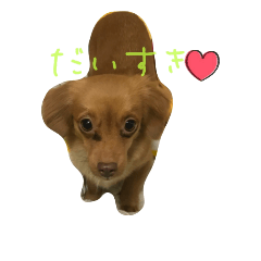 [LINEスタンプ] もかの日常3