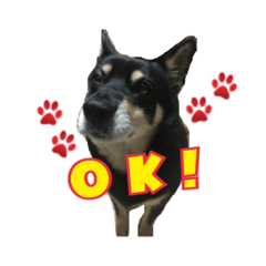 [LINEスタンプ] まいひめ、スタンプ第❷段