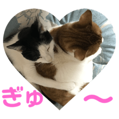 [LINEスタンプ] むぎとおはぎ