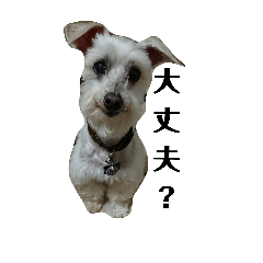 [LINEスタンプ] 使える日常語