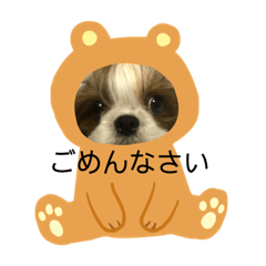 [LINEスタンプ] 双子のシーズー犬  ユキチとマサオ(o^^o)の画像（メイン）