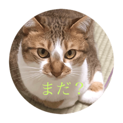 [LINEスタンプ] キャラぴー第三弾