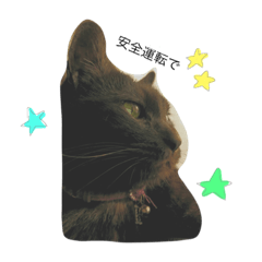 [LINEスタンプ] 草野ふぁむ