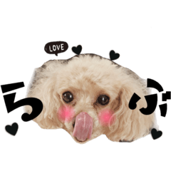 [LINEスタンプ] 日常で使えそうな言葉♡崩し敬語編〜