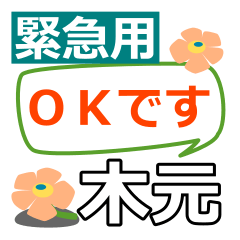 [LINEスタンプ] 取急ぎ返信用【木元.きもと.kimoto】専用