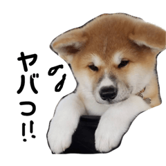 [LINEスタンプ] まっちゃんマン4の画像（メイン）