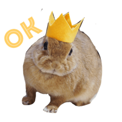 [LINEスタンプ] うさぎの可愛いももちゃん