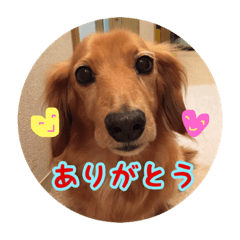 [LINEスタンプ] あっくん vol.3