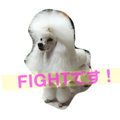 [LINEスタンプ] しゅんれんこーん