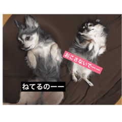 [LINEスタンプ] ちっぷとうめ#1