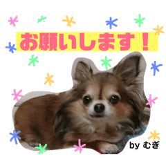 [LINEスタンプ] やまむぎちゃん