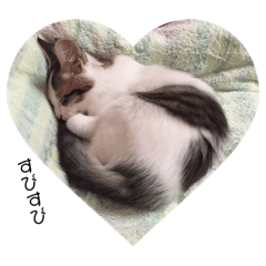 [LINEスタンプ] ゆずにゃスタンプ